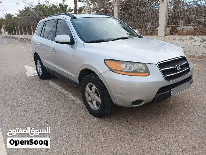 Hyundai Santa Fe 2008 photo 2