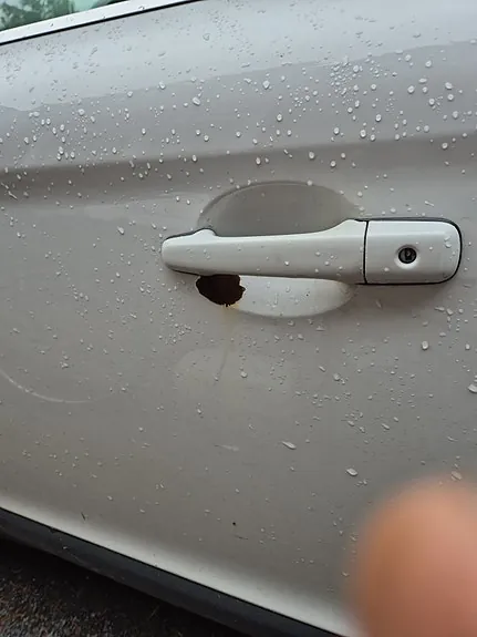 Volvo Xc60 2013 photo 5