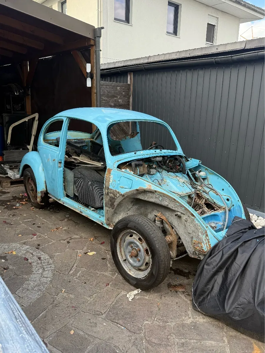 Volkswagen Beetle