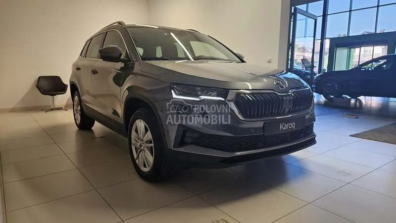 Skoda Karoq 2026 photo 2