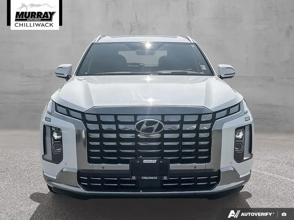Hyundai Palisade 2024 photo 2