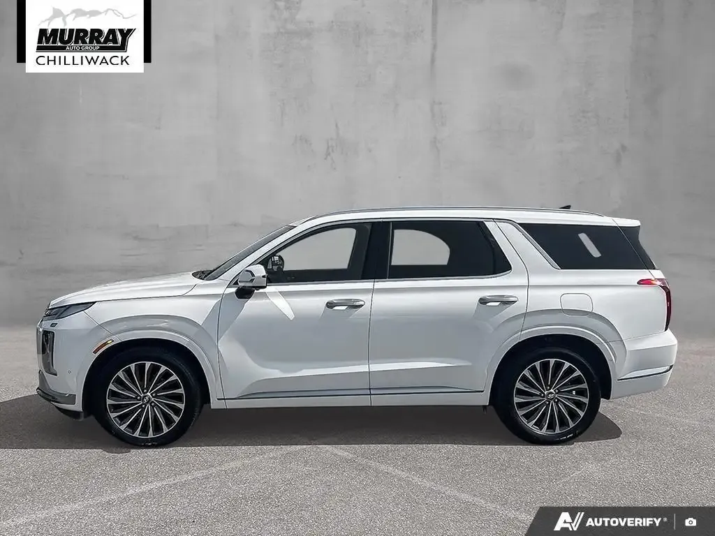 Hyundai Palisade 2024 photo 3