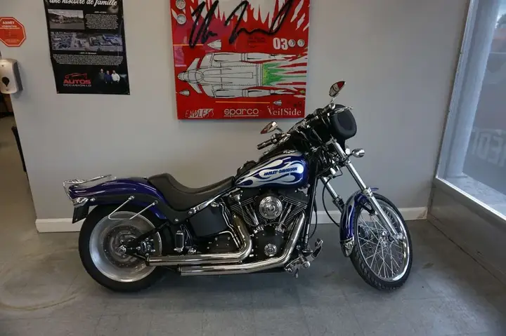 Harley-Davidson Softail