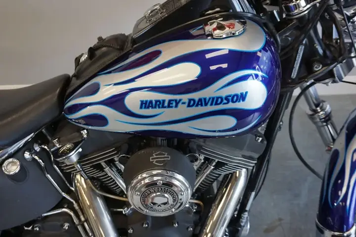 Harley-Davidson Softail 2007 photo 5