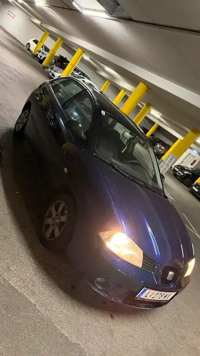 Seat Ibiza 2006 photo 3