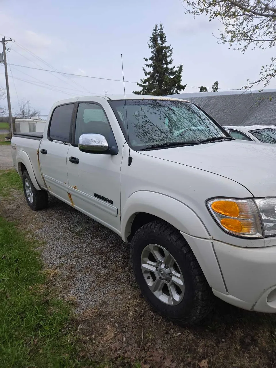 Toyota Tundra 2004 photo 2