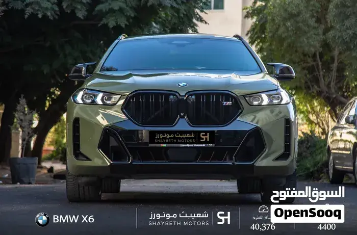 BMW X6