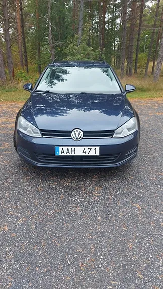 Volkswagen Golf Vii 2014 photo 2