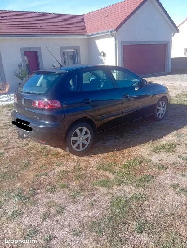 Seat Ibiza 2004 photo 2