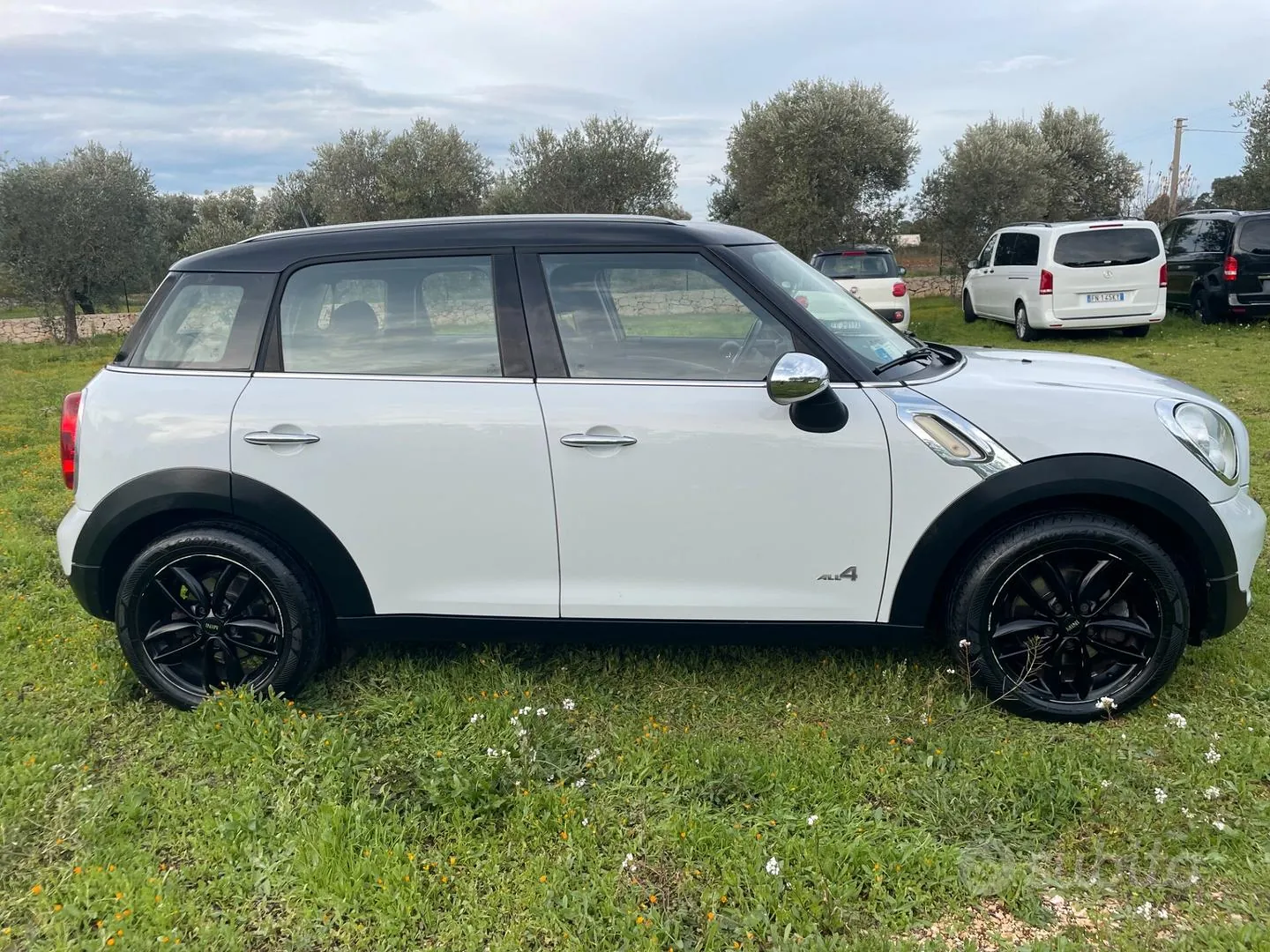 Mini Mini Countryman 2013 photo 3