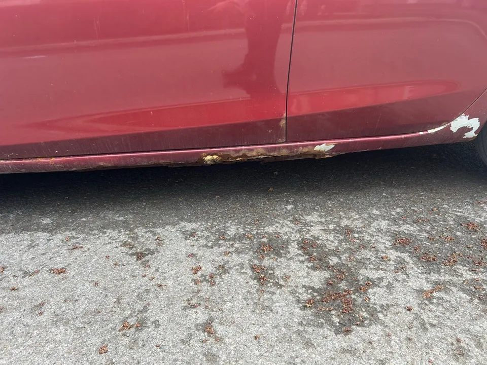 Mazda 3 2010 photo 4