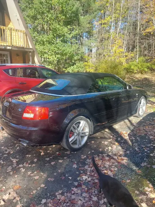 Audi A8 2006 photo 4