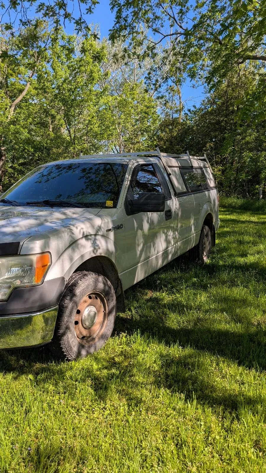 Ford F-150 2009 photo 4