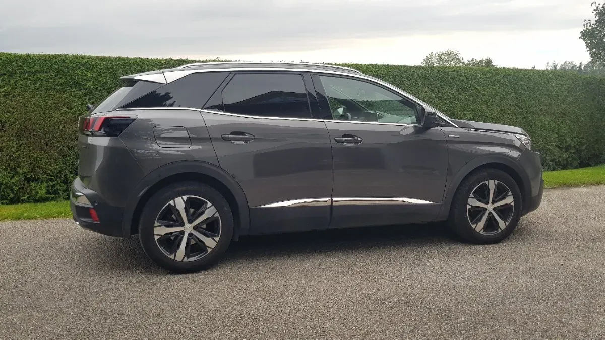 Peugeot 3008 2019 photo 2