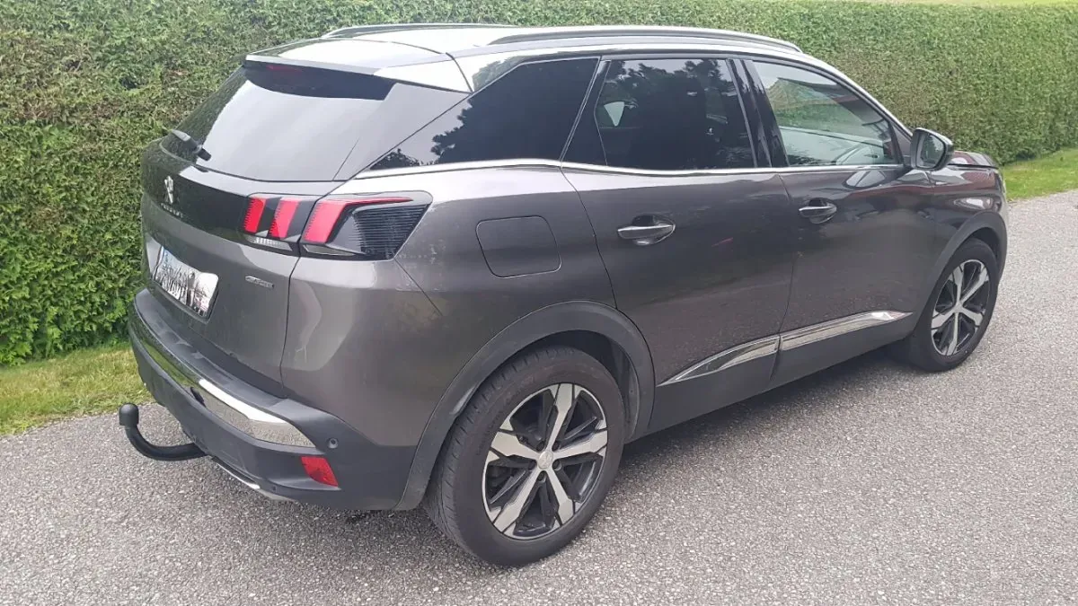 Peugeot 3008 2019 photo 3