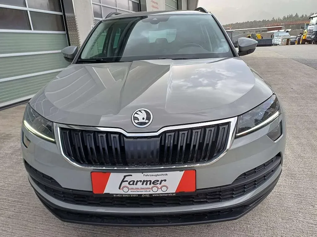 Skoda Karoq 2019 photo 3