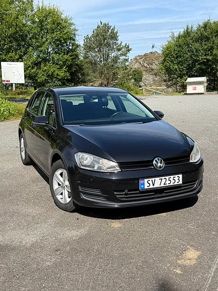 Volkswagen Golf Vii 2016 photo 5