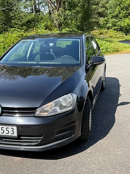 Volkswagen Golf Vii 2016 photo 3