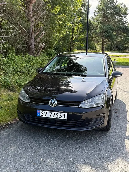 Volkswagen Golf Vii 2016 photo 2