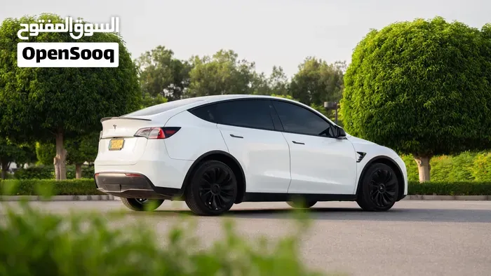 Tesla Model Y 2021 photo 2