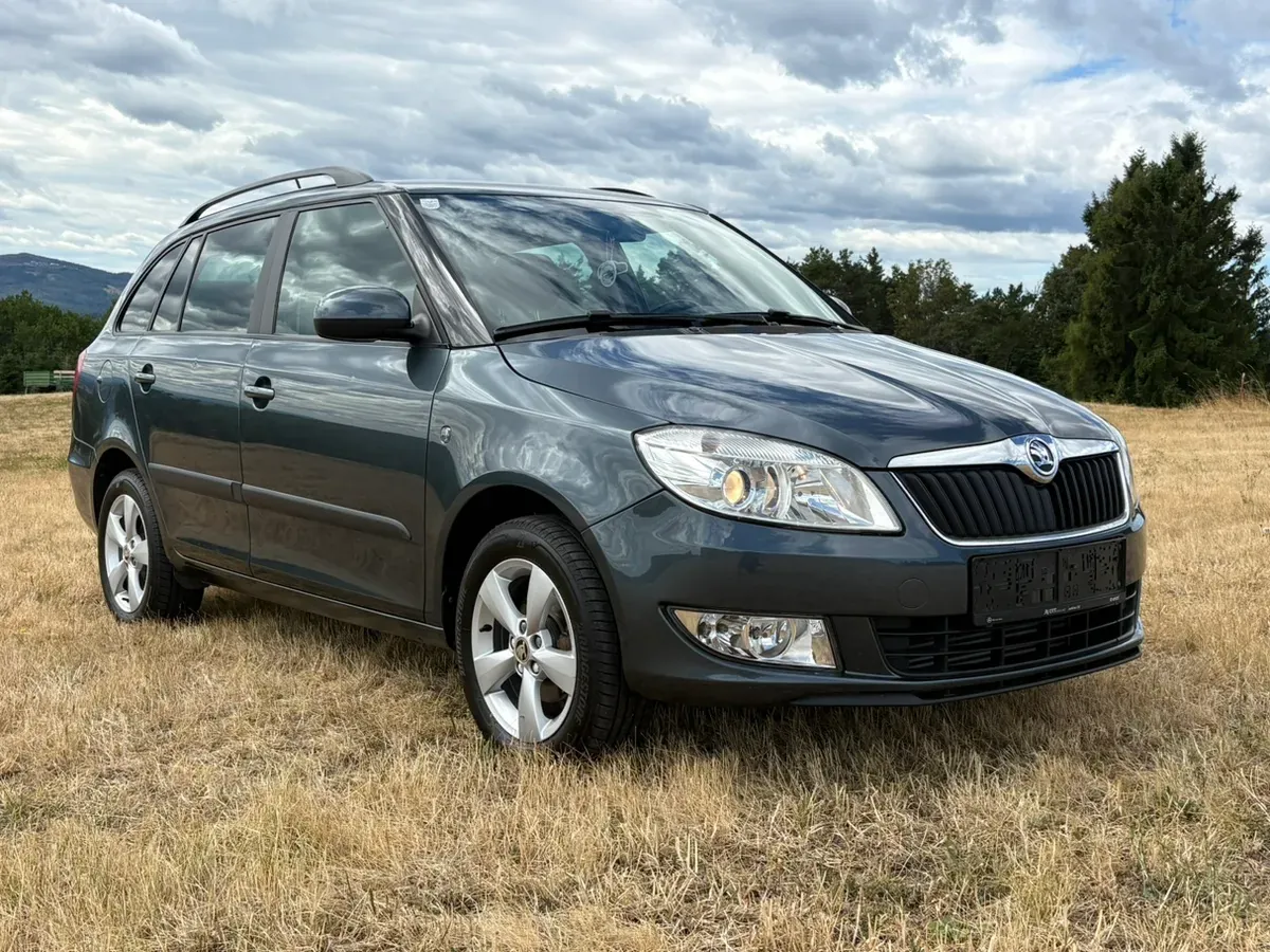 Skoda Fabia 2014 photo 2