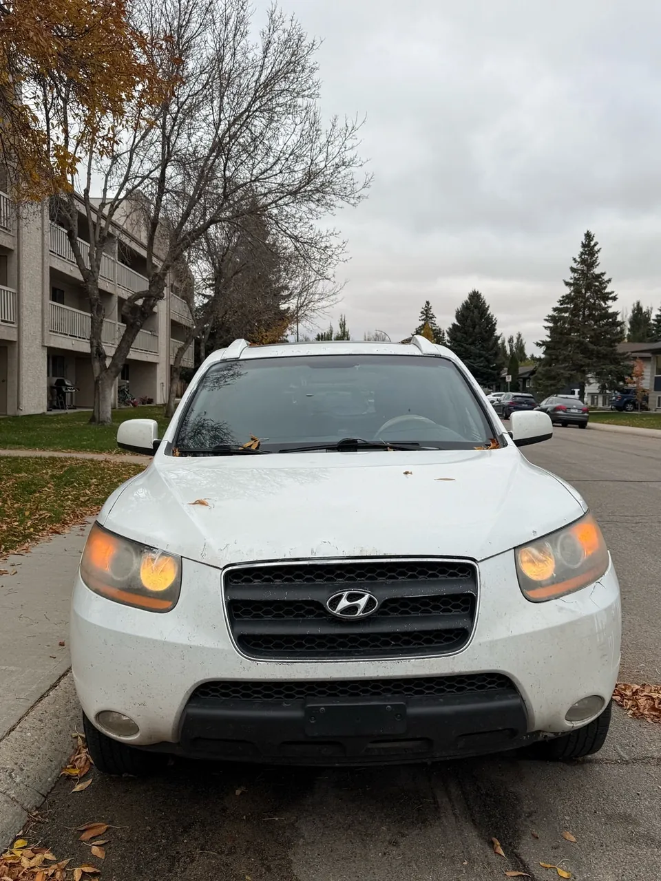 Hyundai Santa Fe 2008 photo 2