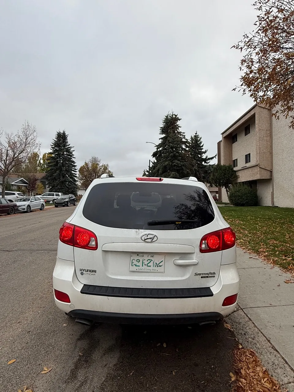 Hyundai Santa Fe 2008 photo 3