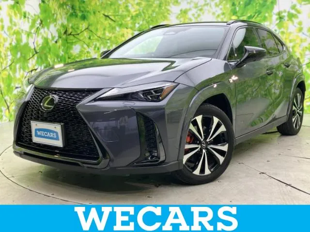 Lexus Ux 300H