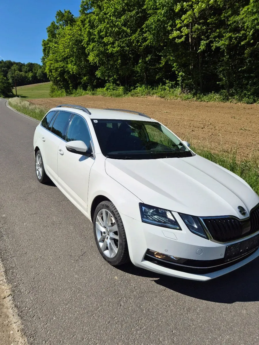 Skoda Octavia 2019 photo 2