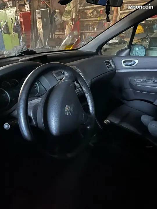 Peugeot 307 2002 photo 2