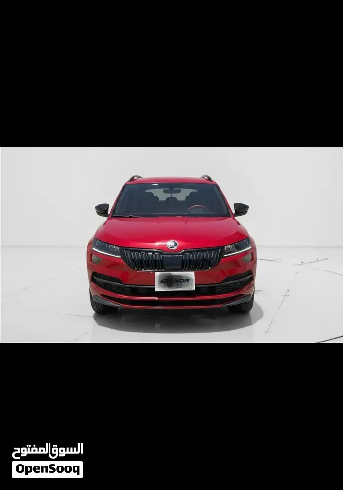 Skoda Karoq 2020 photo 4