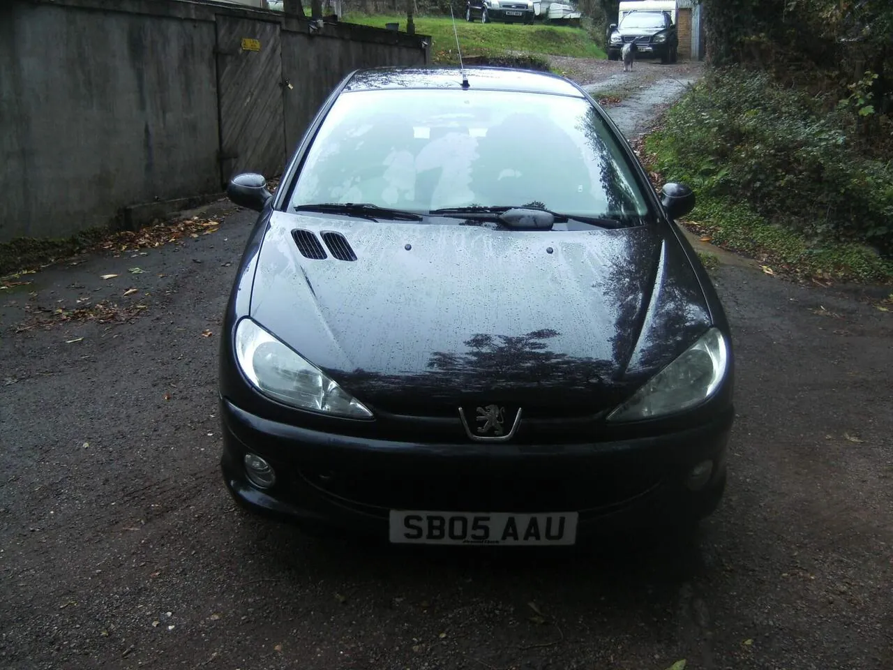 Peugeot 206 2005 photo 2