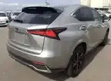 Lexus Nx 2022 photo 4