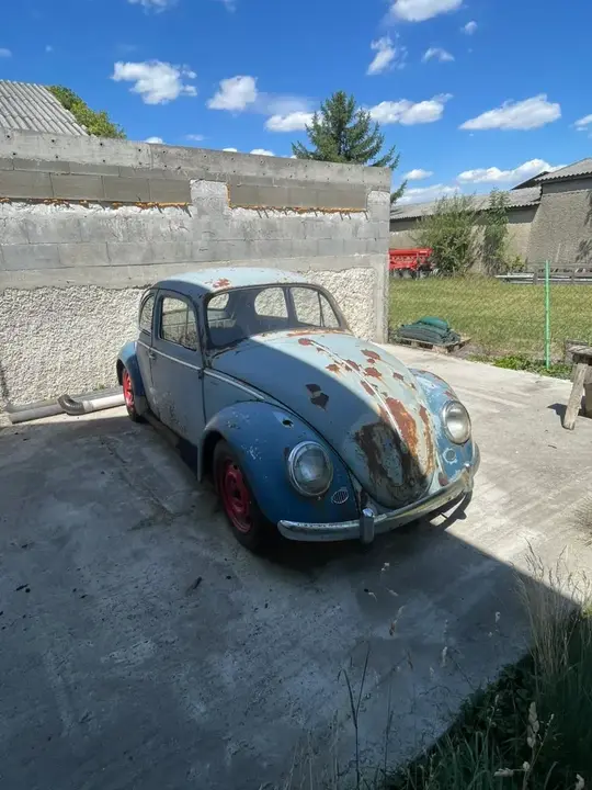 Volkswagen Käfer