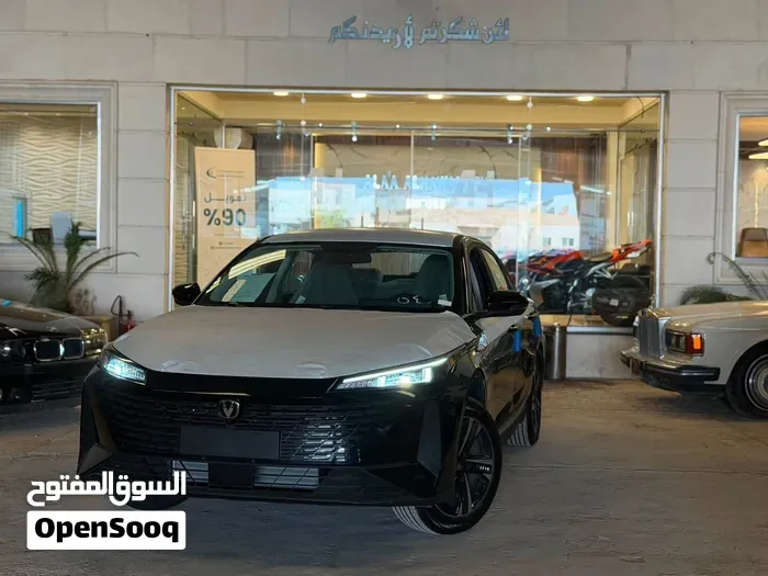 Changan Eado Ev 2027 photo 4