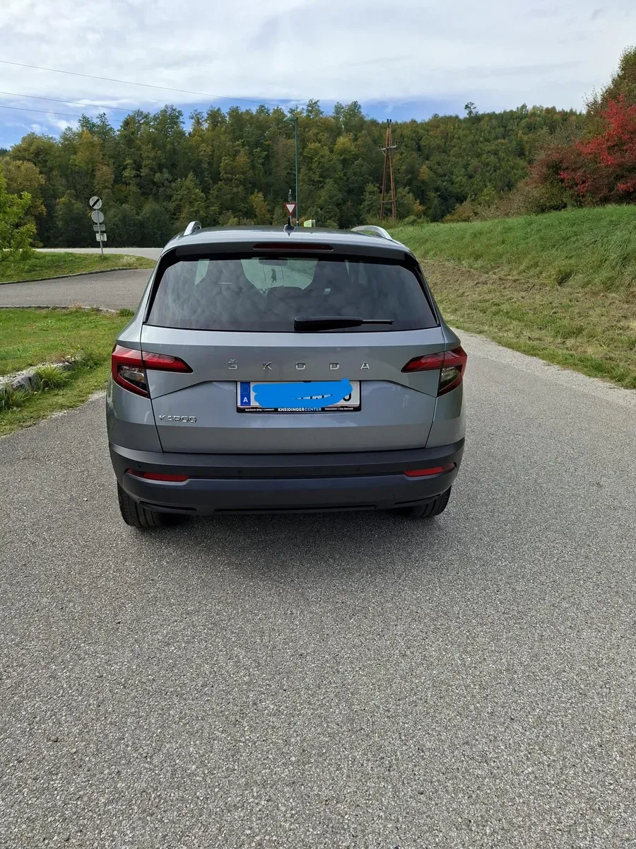 Skoda Karoq 2020 photo 3