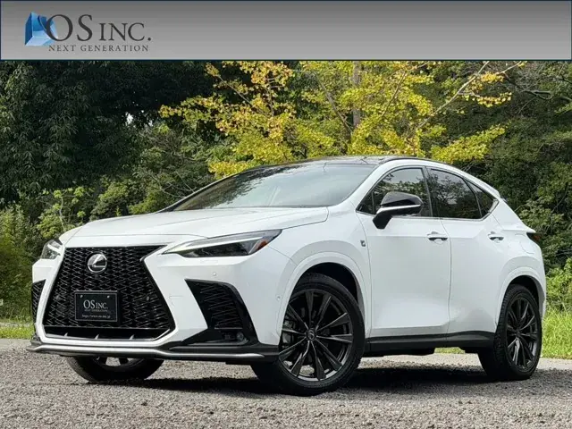 Toyota Nx
