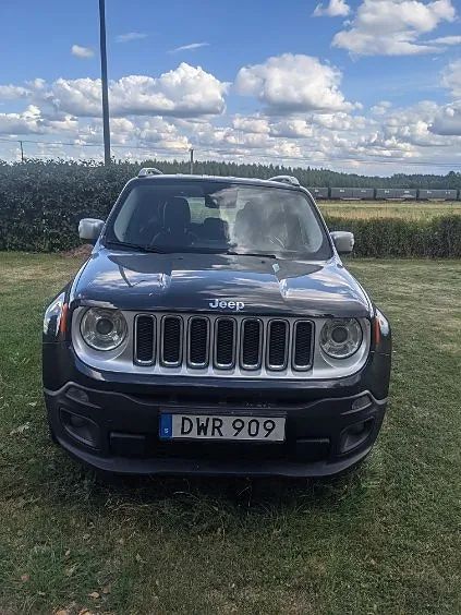 Jeep Renegade 2015 photo 3