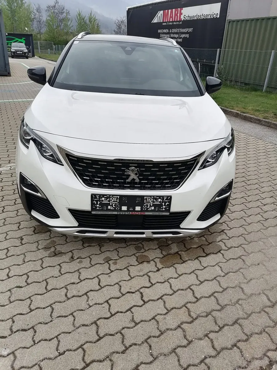 Peugeot 3008 2019 photo 3