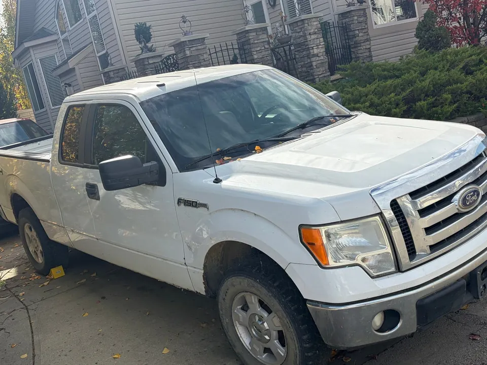 Ford F-150 2009 photo 2