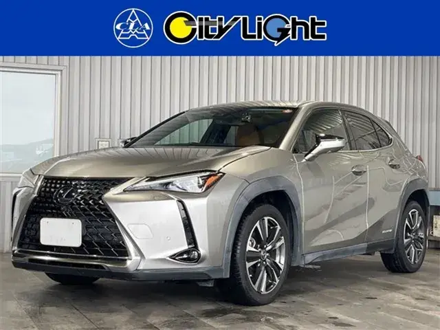 Toyota Ux 250H 2019 photo 2