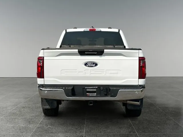 Ford F-150 2024 photo 5