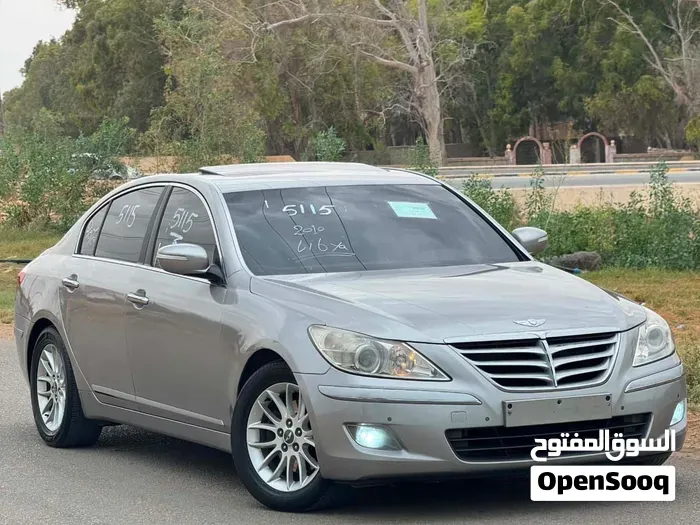 Genesis Sonata 2010 photo 2