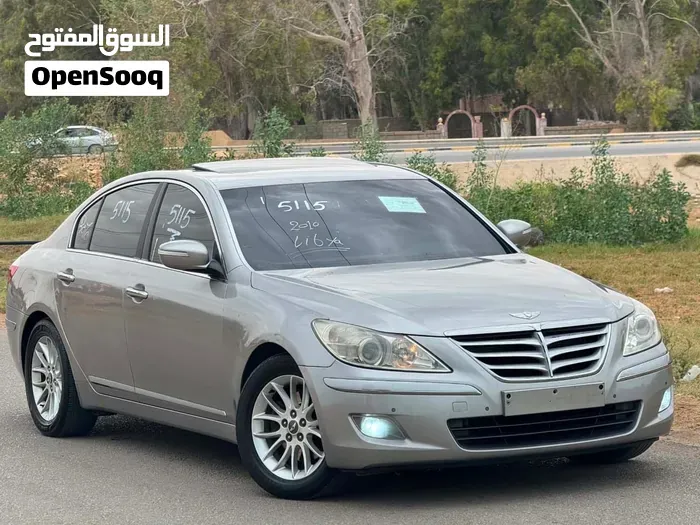Genesis Sonata 2010 photo 4