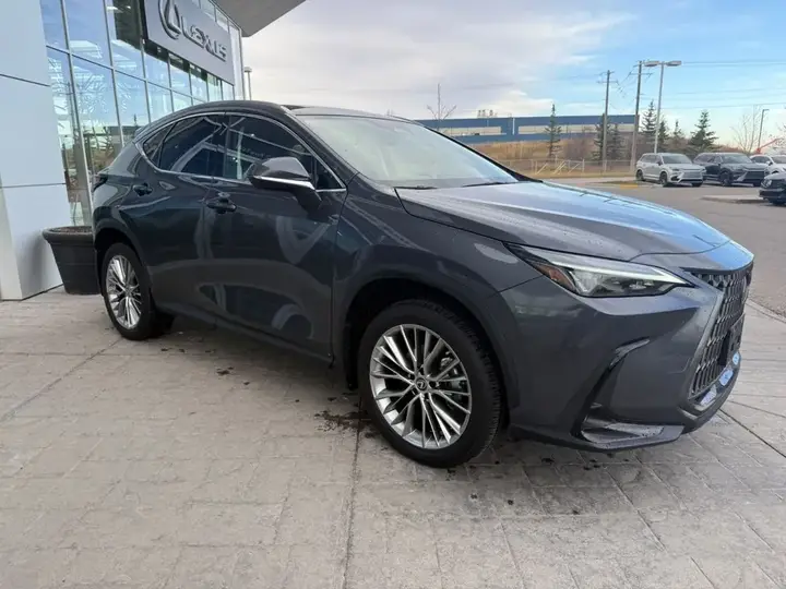Lexus Nx 2023 photo 4