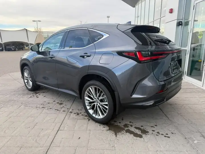 Lexus Nx 2023 photo 2