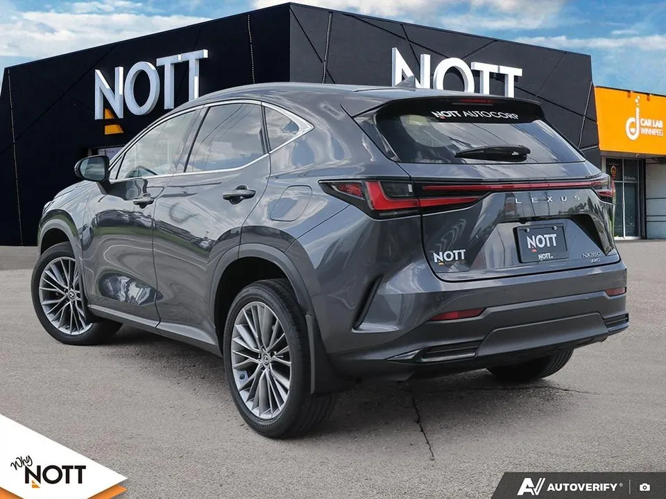 Lexus Nx 2022 photo 4