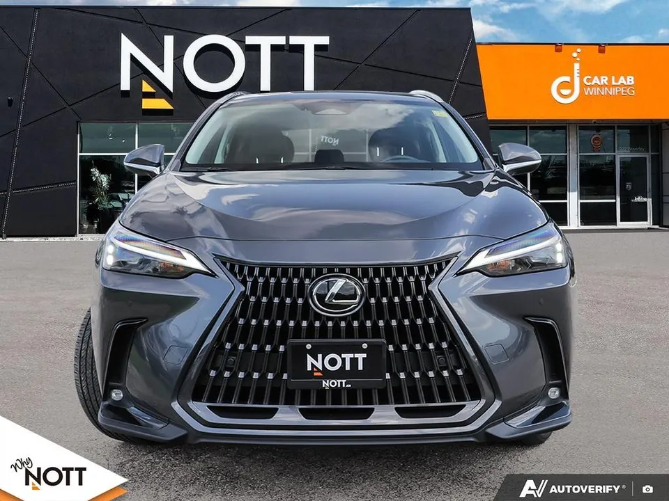 Lexus Nx 2022 photo 2
