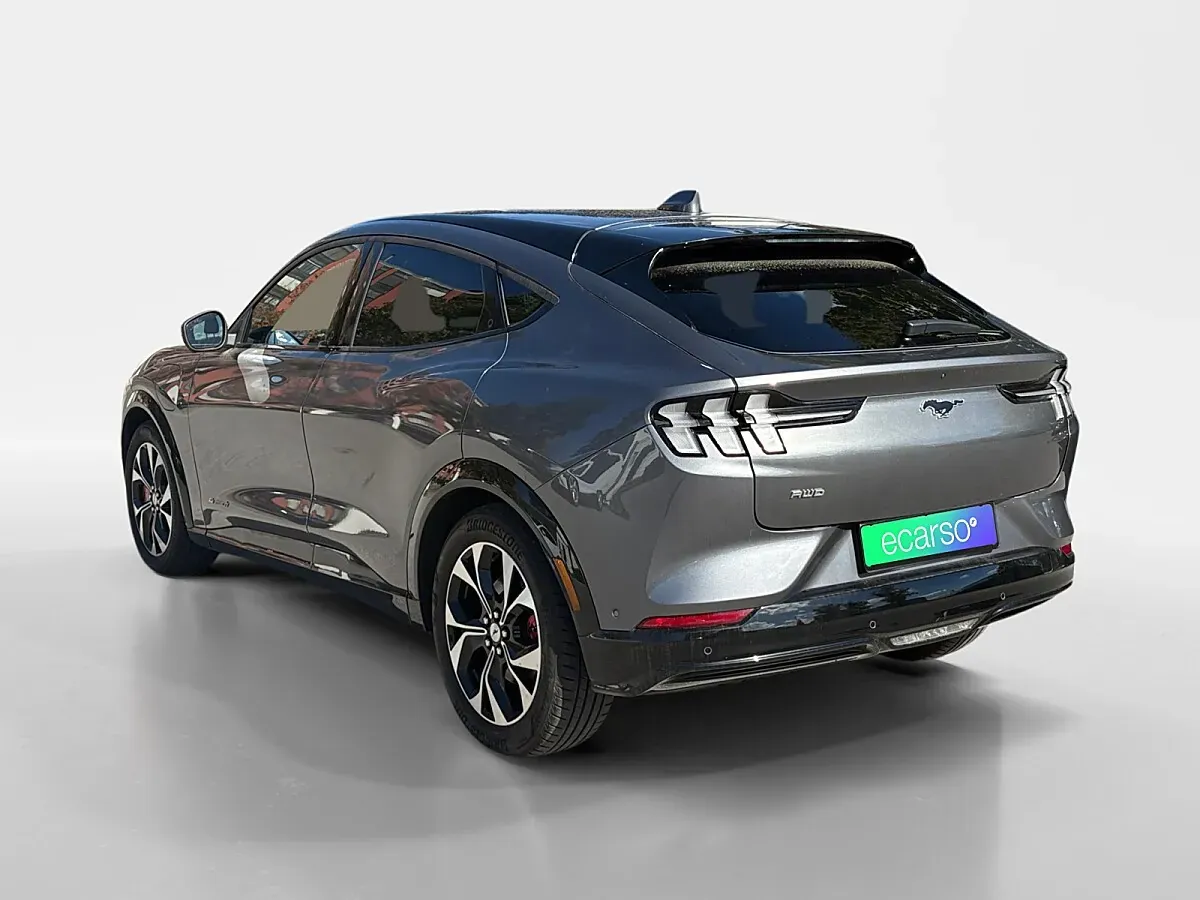 Ford Mustang Mach-E 2021 photo 3
