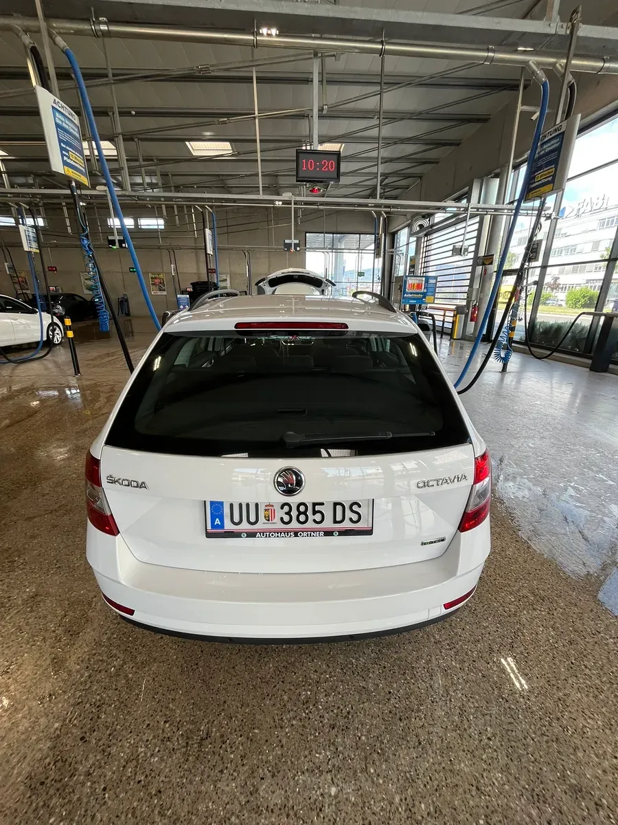 Skoda Octavia 2017 photo 2